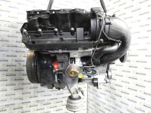 qxgjzi5nk63y00ed2tzmdejlzinjo982