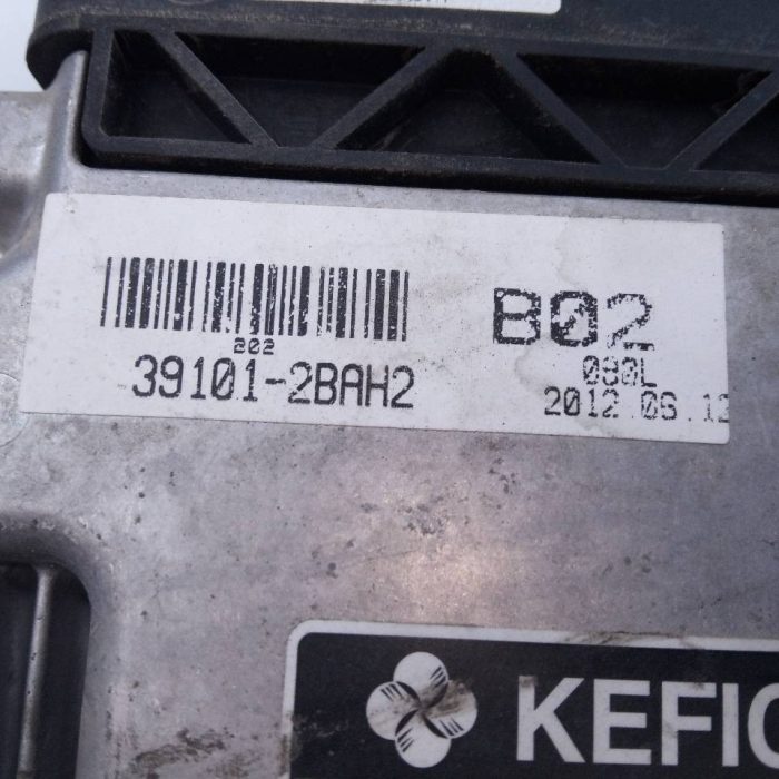 544406