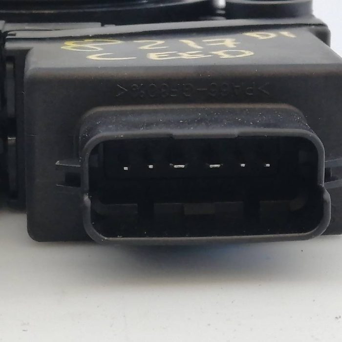 556591