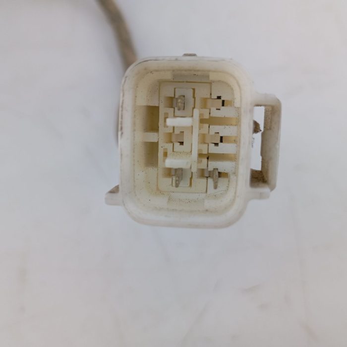 355562