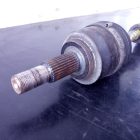 373254