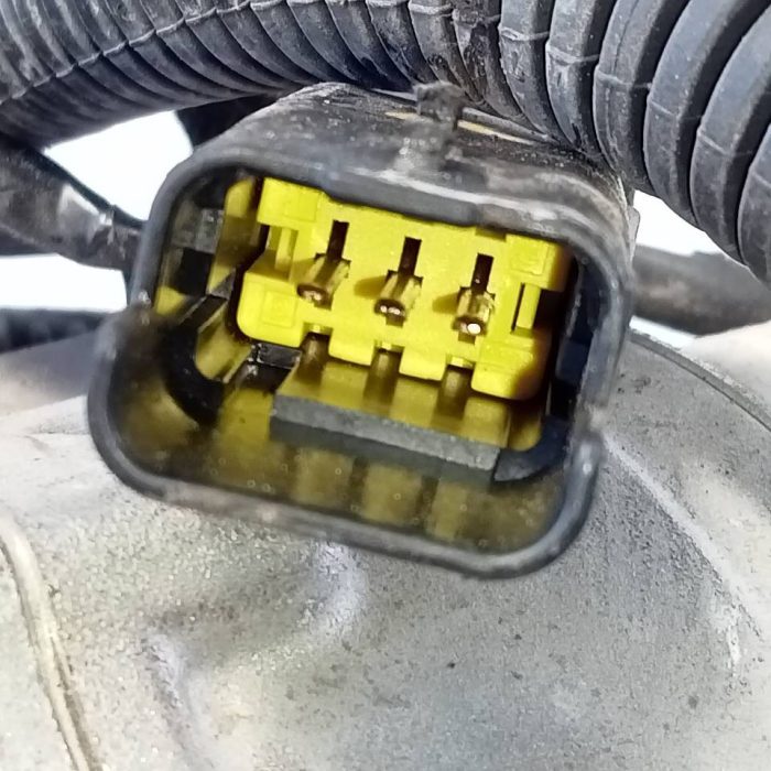 446904