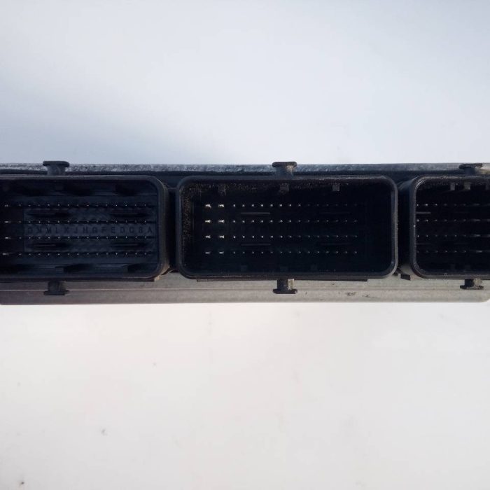 456667