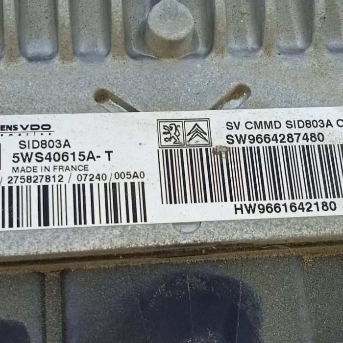495394