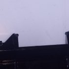 589036