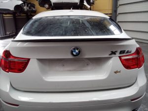 PORTON TRASERO BMW X6 (E71)